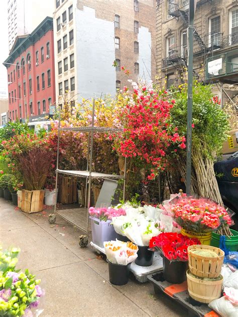 Nyc flower district. Things To Know About Nyc flower district. 